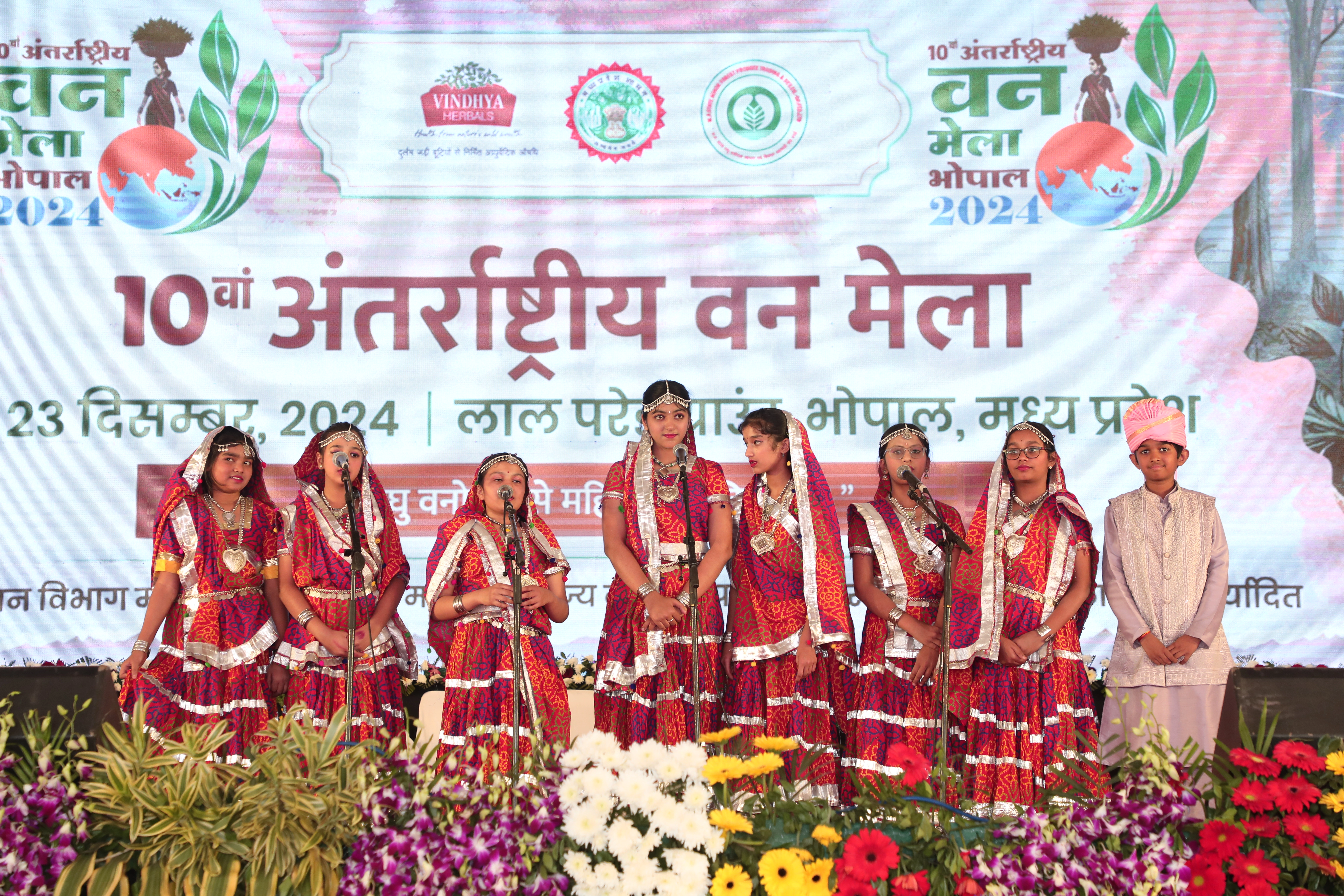 Crowd & Cultural Events