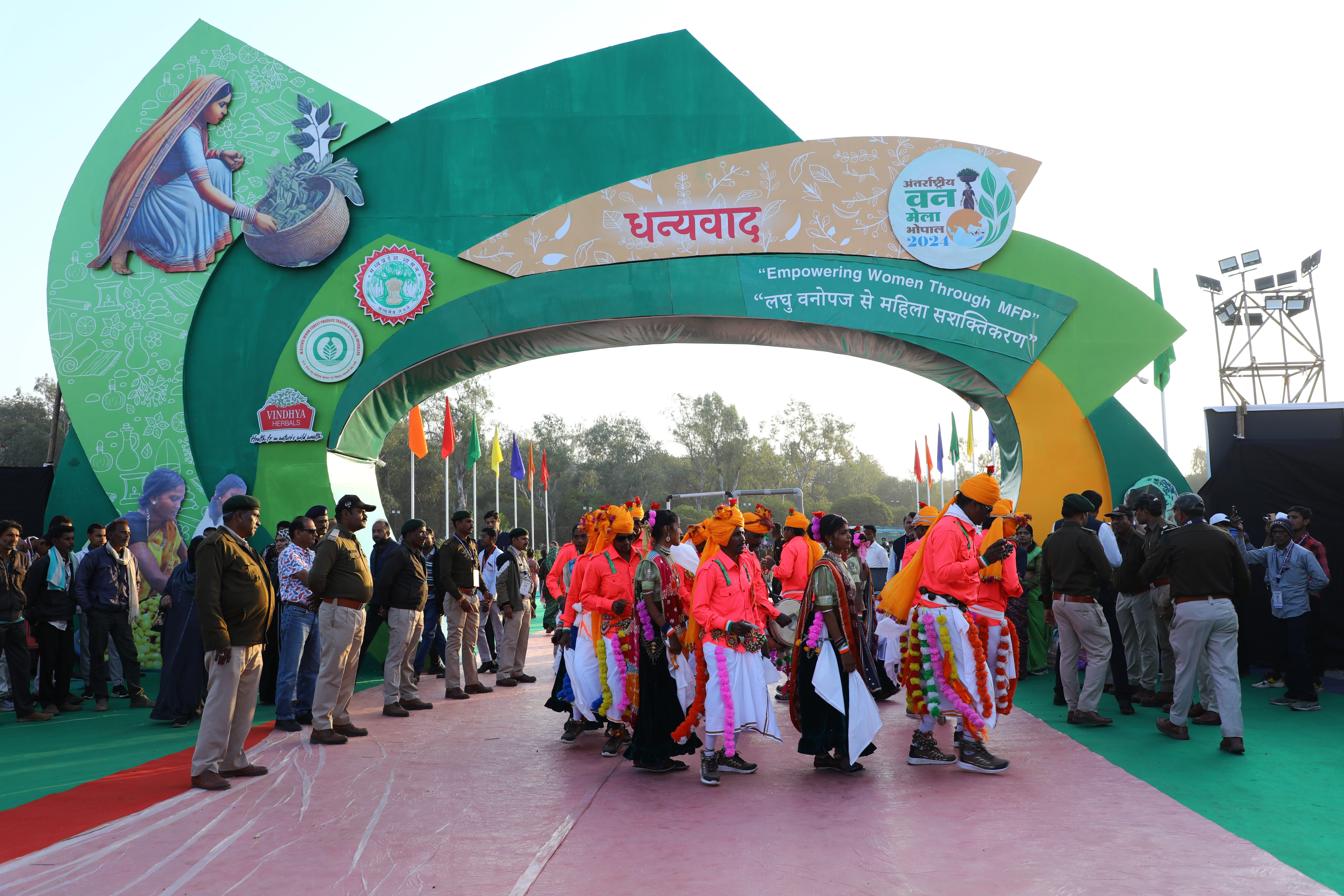 Forest and community harmony